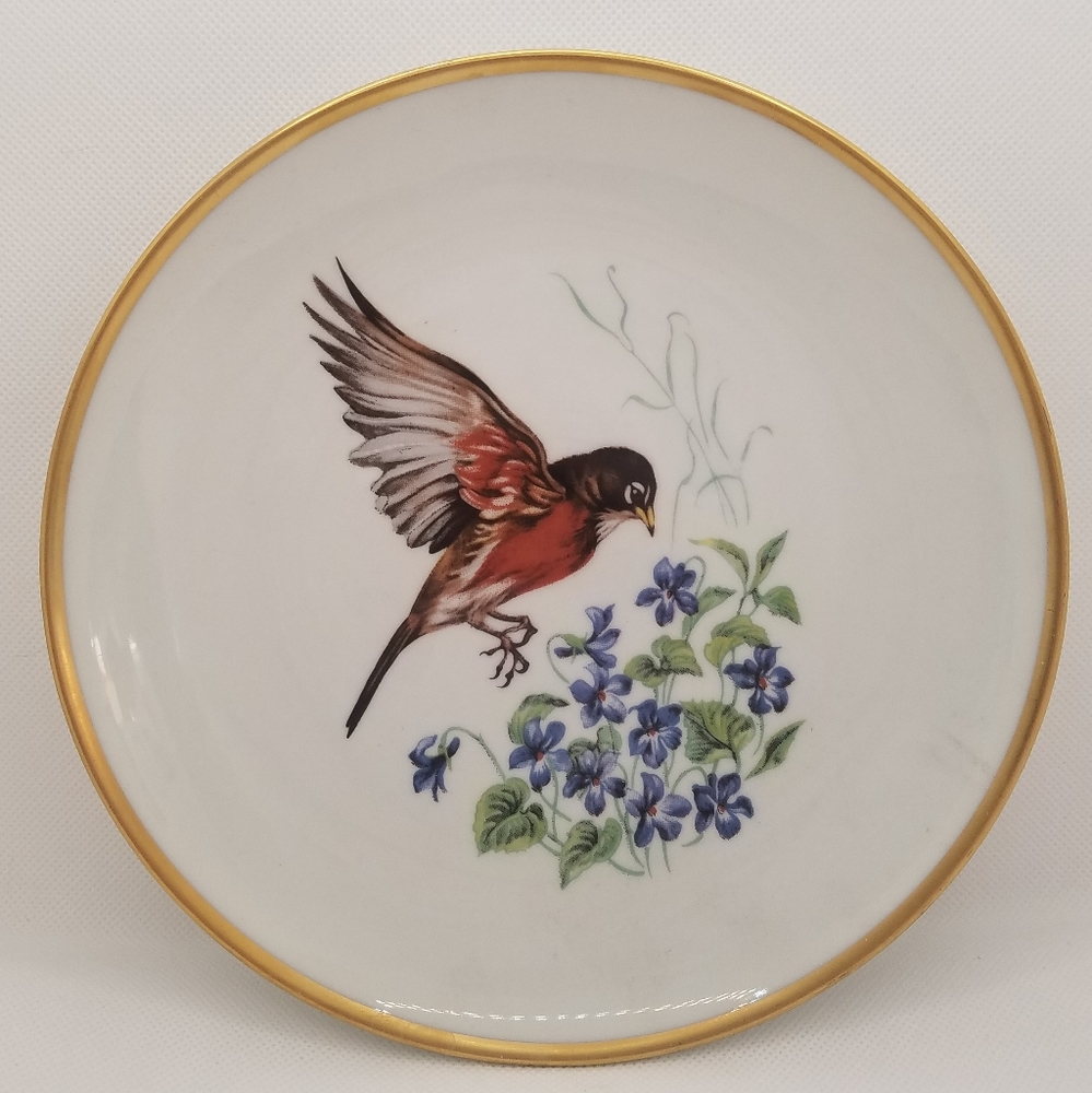 Vintage Bavaria Schumann Arzberg Germany Porcelain Bird Plate